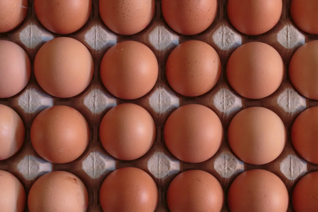 Huevos — fotografía ilustrativa